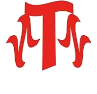 ZTZ logo